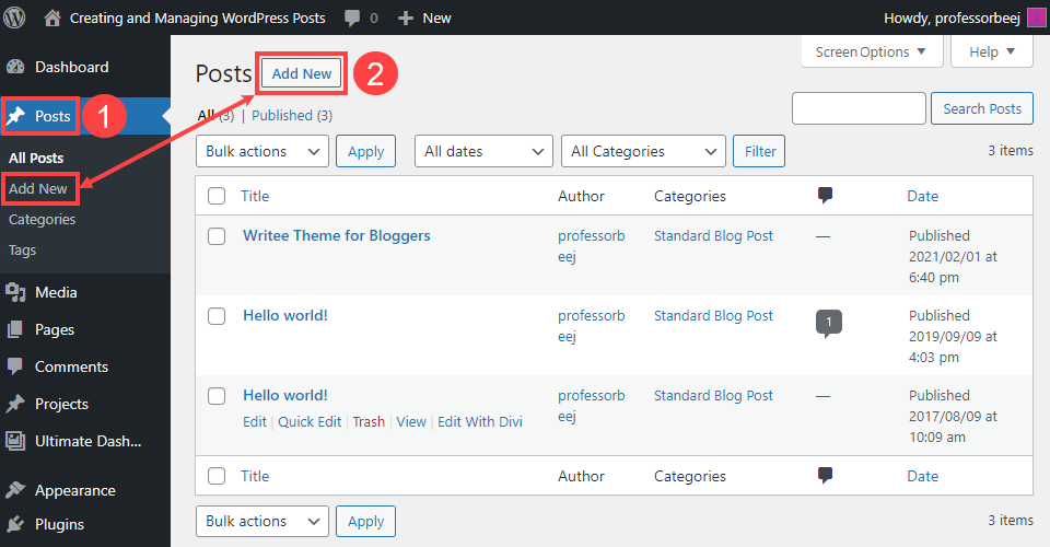 001 WordPress Posts
