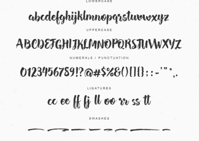 Typographie Hensa Brush Script Font 2