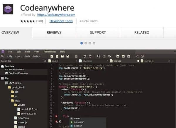 3 Codeanywhere