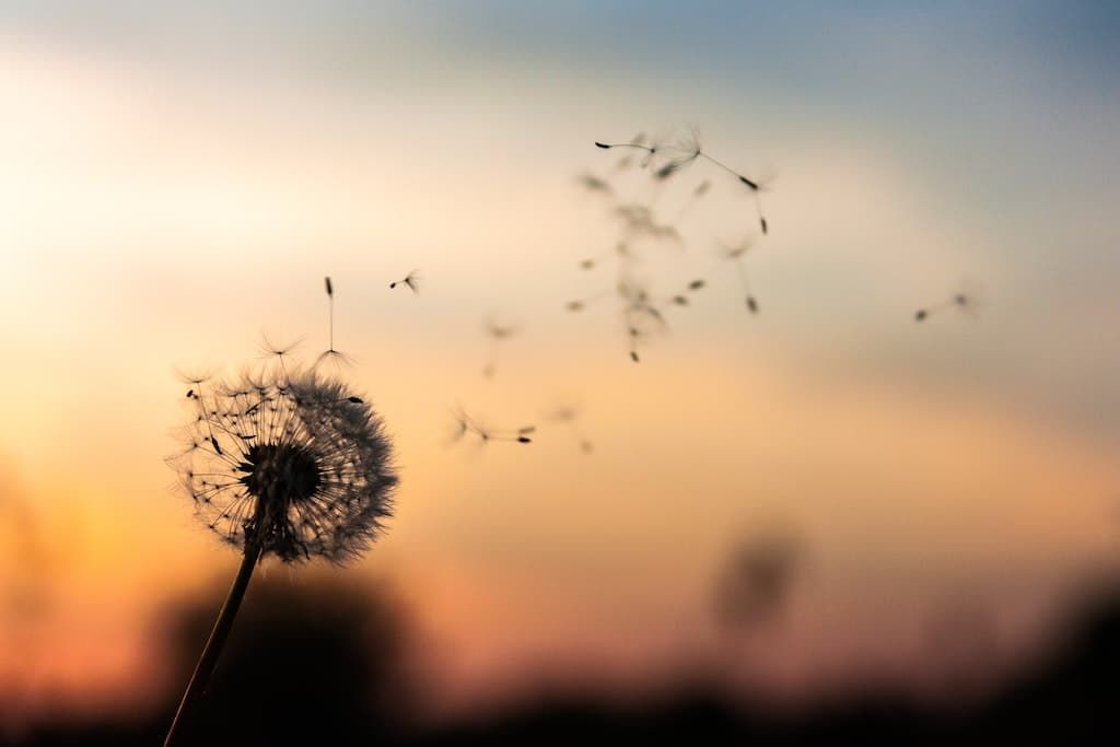 GatsbyVSWordPress dawid zawila zb2vBaHYB2I unsplash