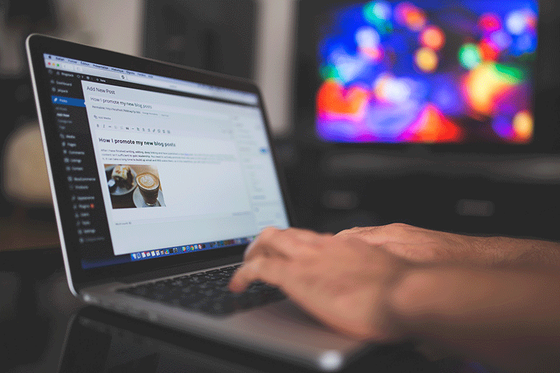 Wordpress faille securite protection
