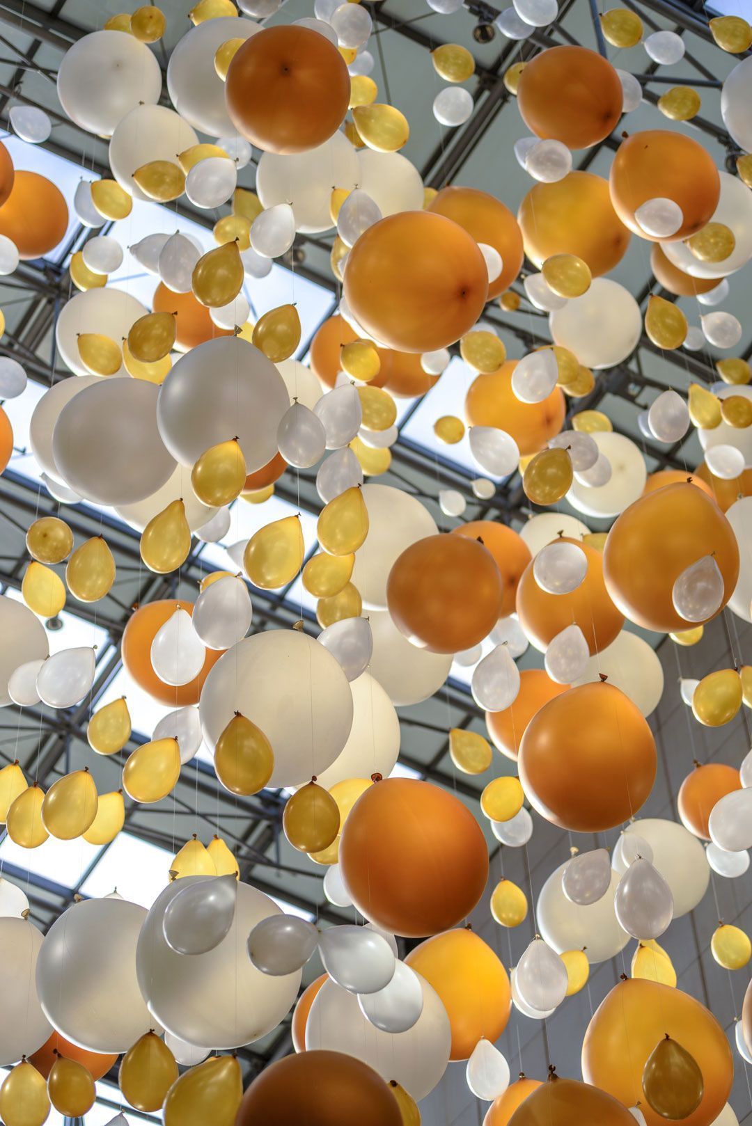 Yellow balloon beside white balloon